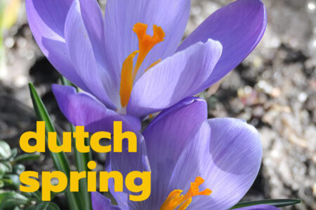 spring3 — копия