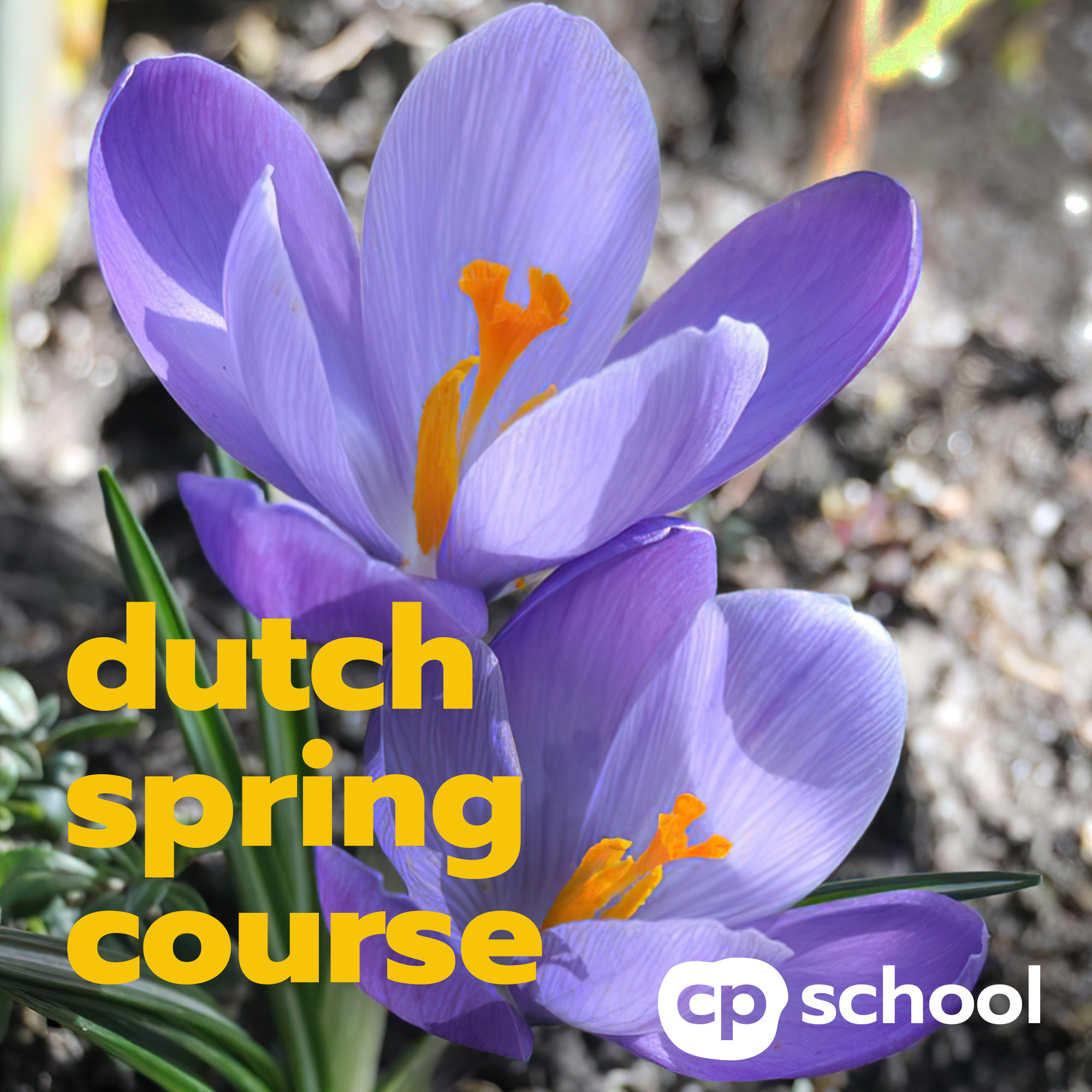 КУРС А2 С 1 МАРТА